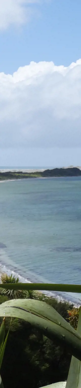 Farewell Spit